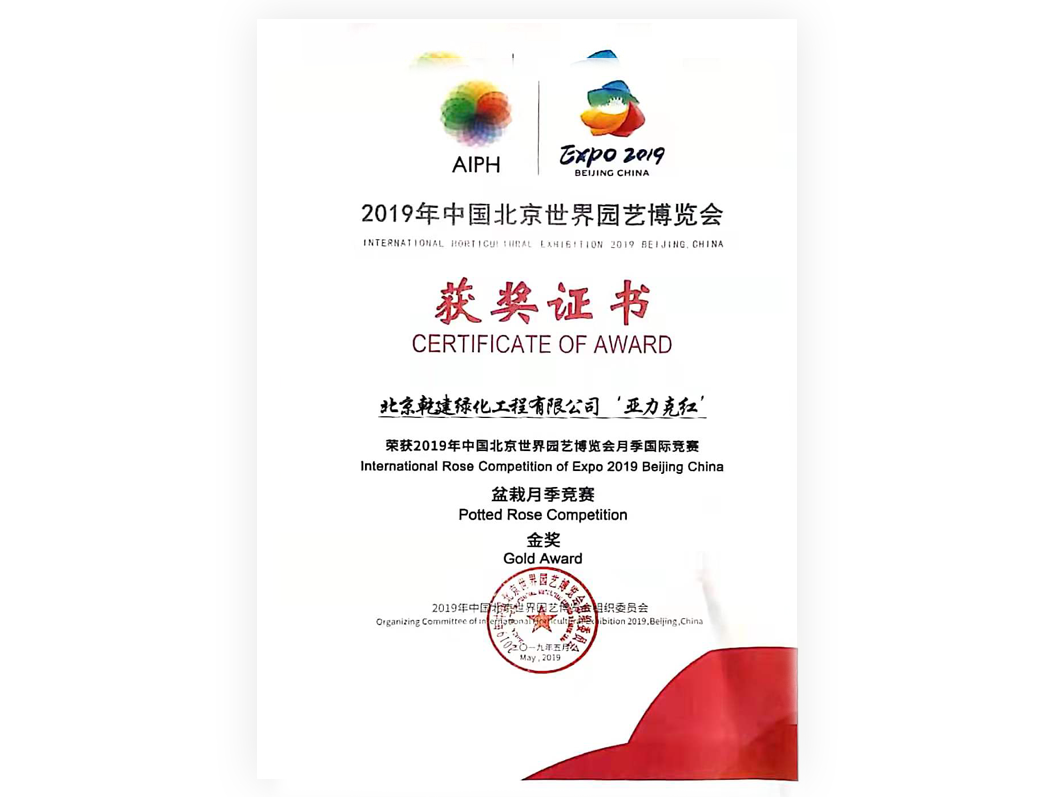 2019-月季“亞克力紅”-金獎